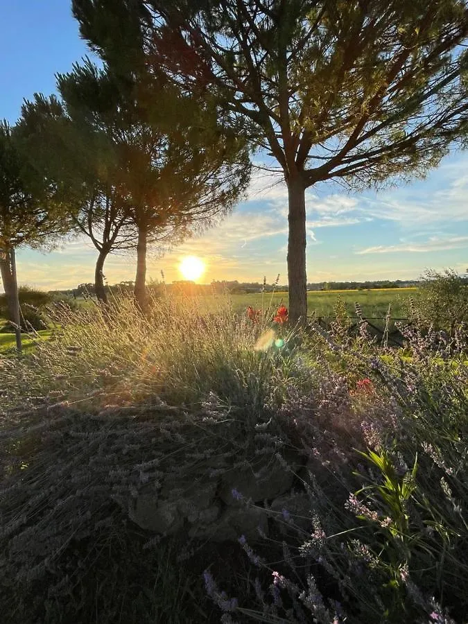 Agriturismo La Colmata Villa Cesa